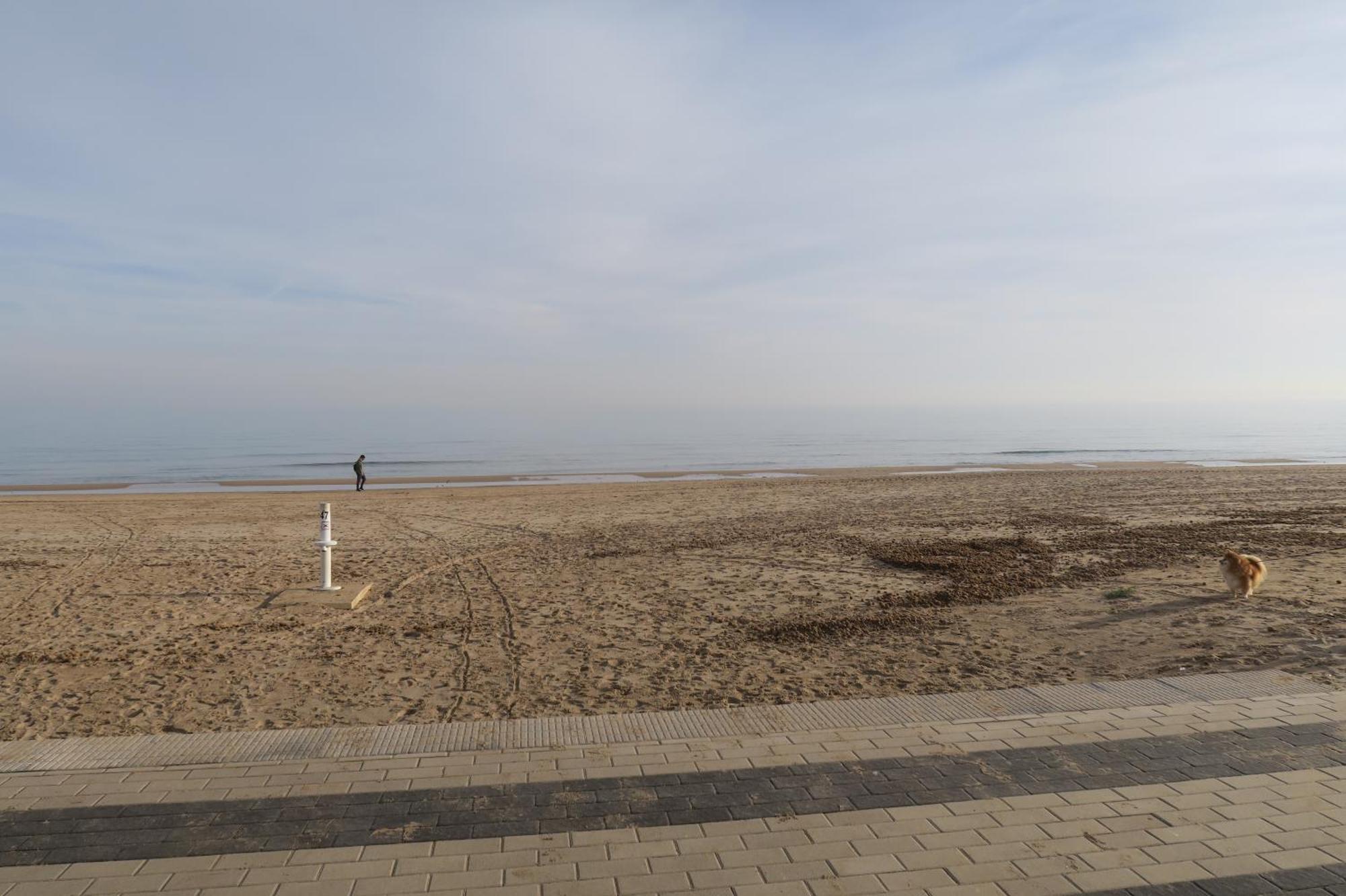 Апартаменты A 50 Metros Del Mar Олива Экстерьер фото